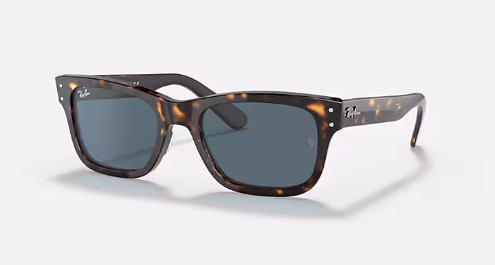 Ray-Ban BURBANK