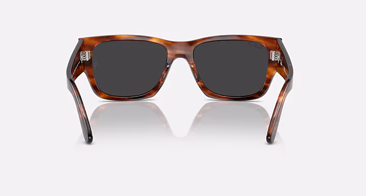 Ray-Ban CARLOS