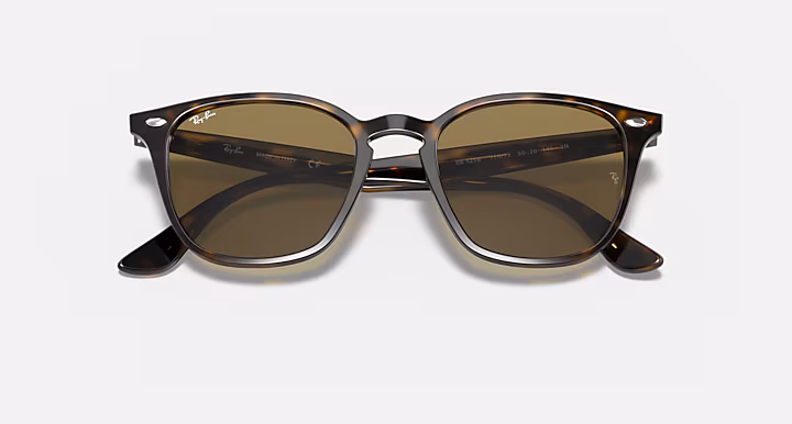 Ray-Ban RB4258