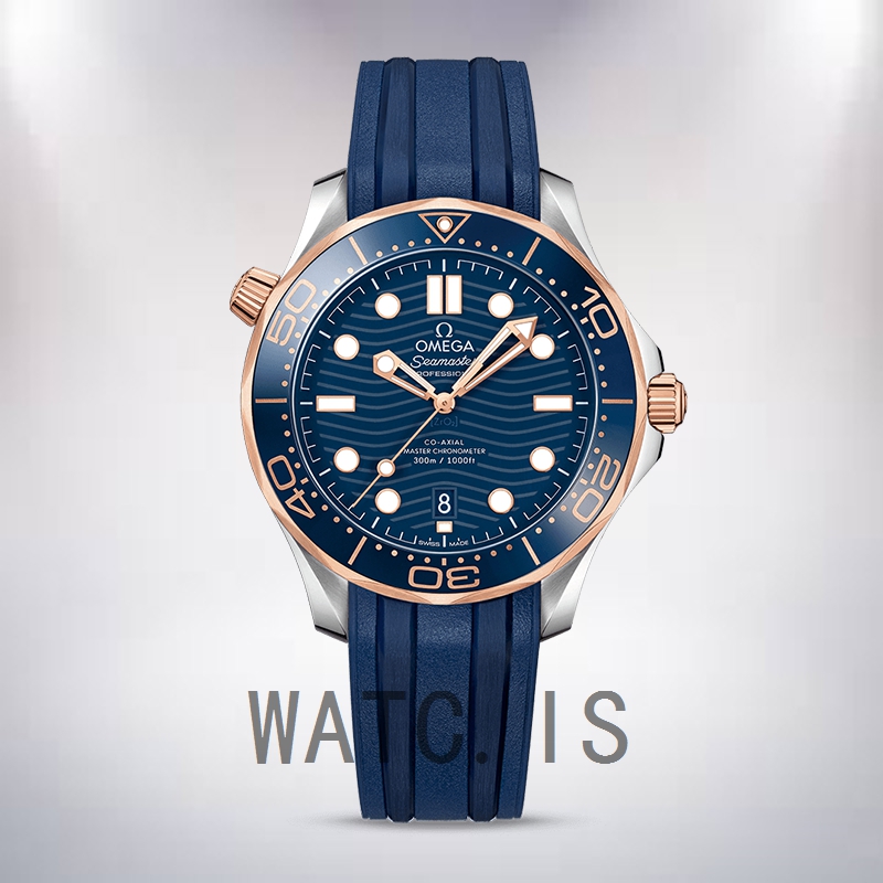 Omega Seamaster Men 210.22.42.20.03.002 42mm Blue Dial Automatic