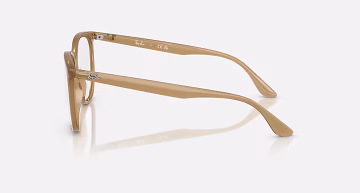 Ray-Ban RB4378V OPTICS