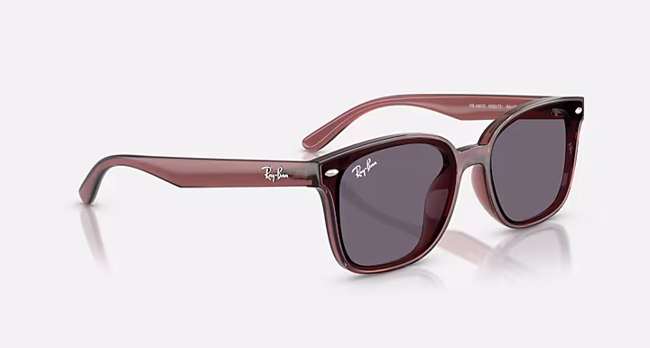 Ray-Ban RB4461D