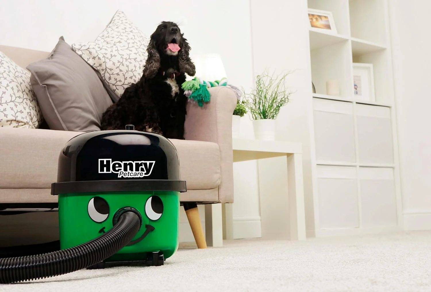 NaceCare petcare Canister Vacuum - Image 6