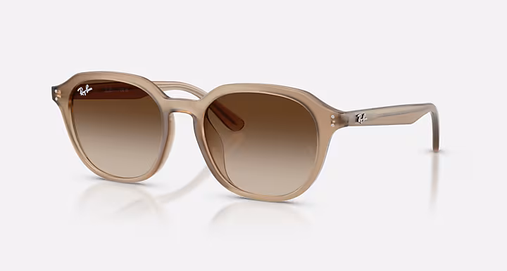Ray-Ban RB4459D