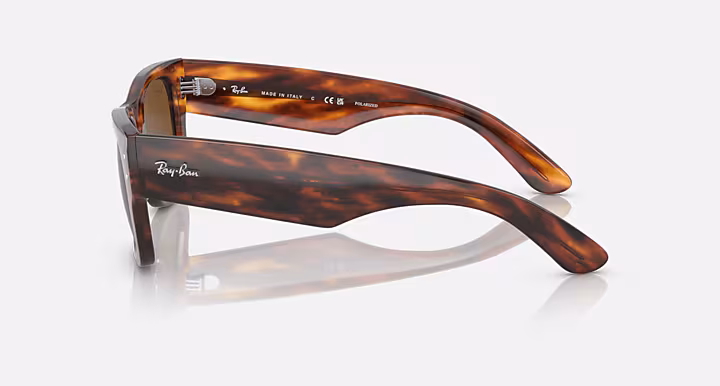 Ray-Ban MEGA WAYFARER