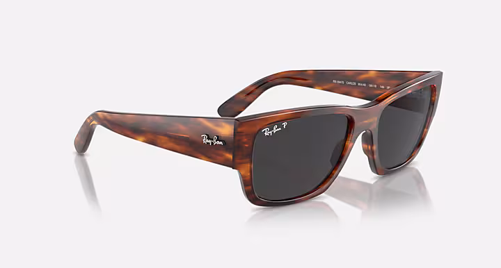 Ray-Ban CARLOS
