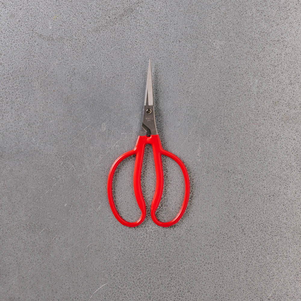 Ciseaux de jardin - Rouge