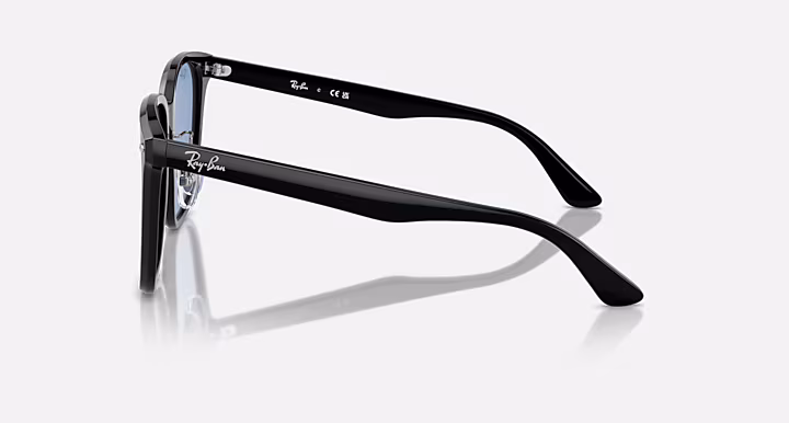 Ray-Ban RB2206D