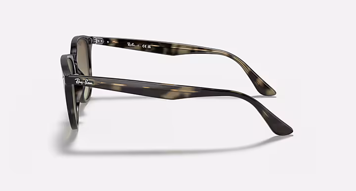 Ray-Ban RB4259