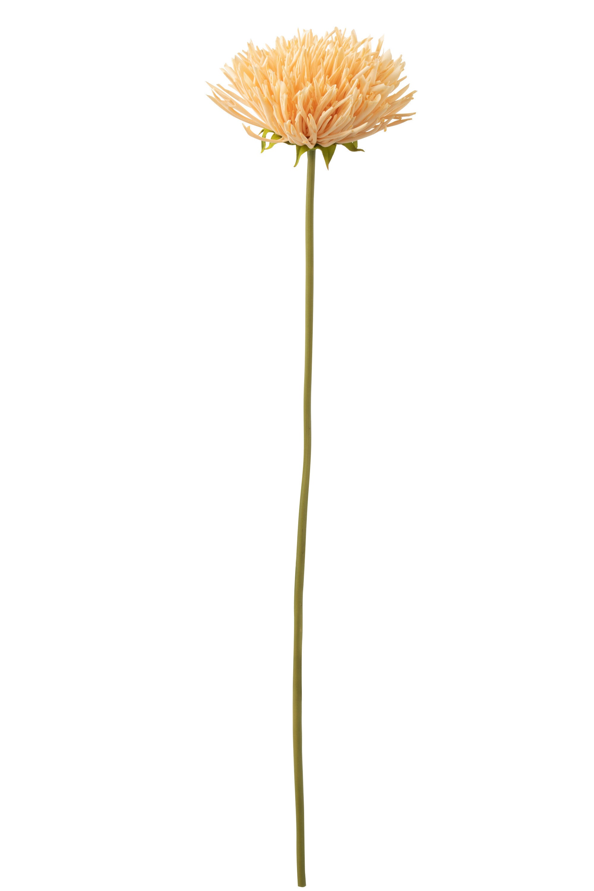 J-Line bloem Chrysant - kunststof - lichtoranje - 12 stuks
