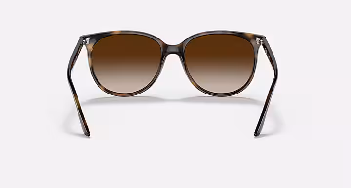 Ray-Ban RB4378