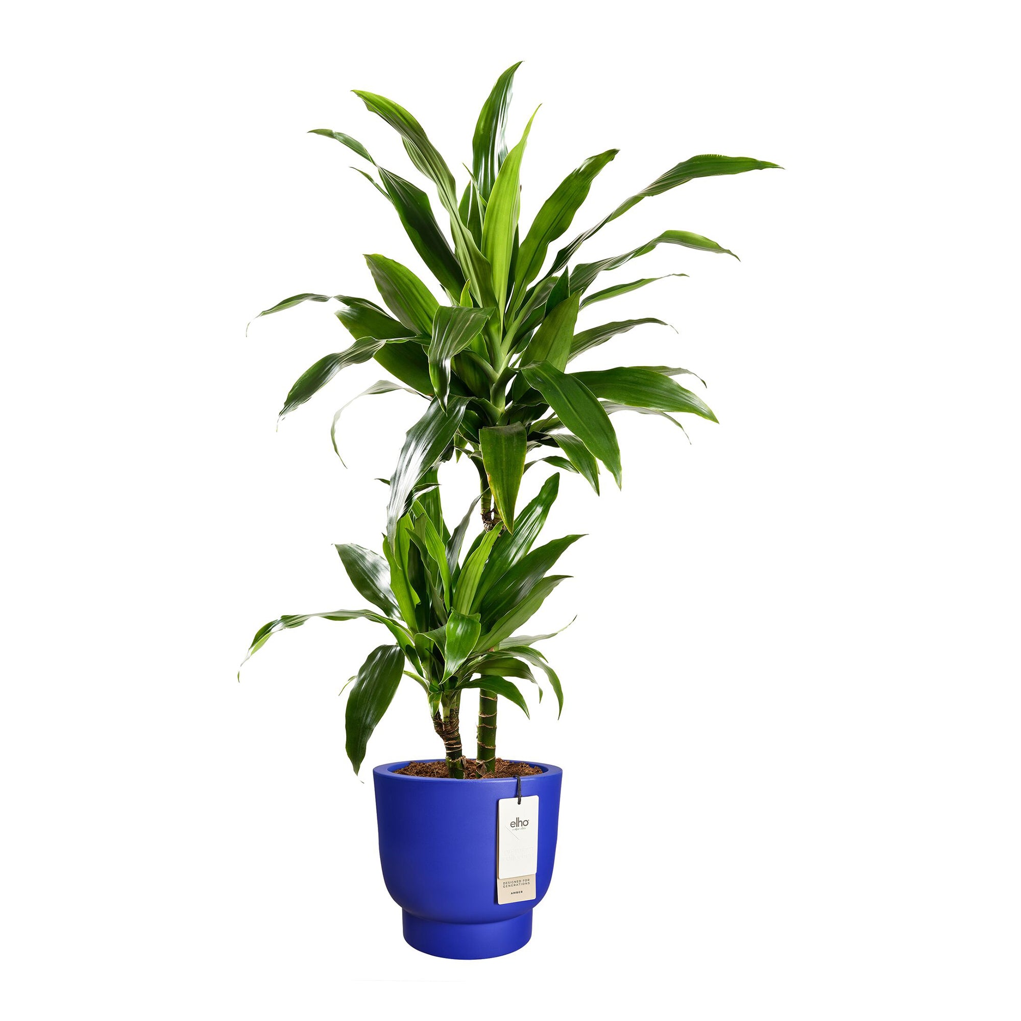 Elho Amber Grail 30 - Royal blue - L 30 x B x H 28 cm - Binnen en Buit