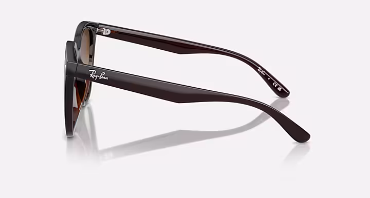 Ray-Ban RB4423D