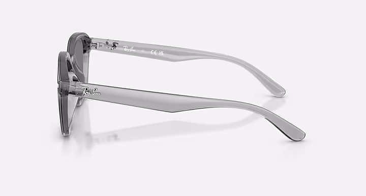 Ray-Ban RB4458D