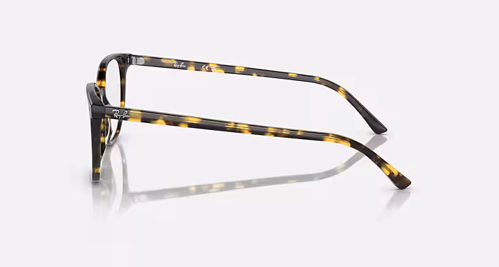 Ray-Ban ELLIOT OPTICS LIMITED EDITION