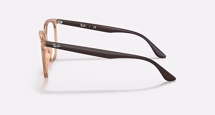 Ray-Ban RB4378V OPTICS