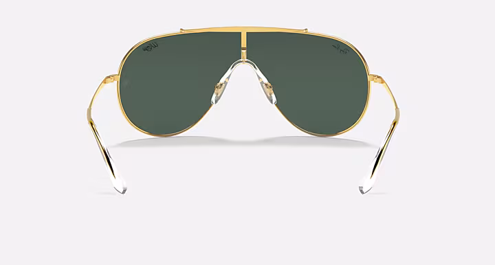 Ray-Ban WINGS