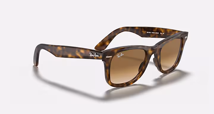 Ray-Ban WAYFARER EASE