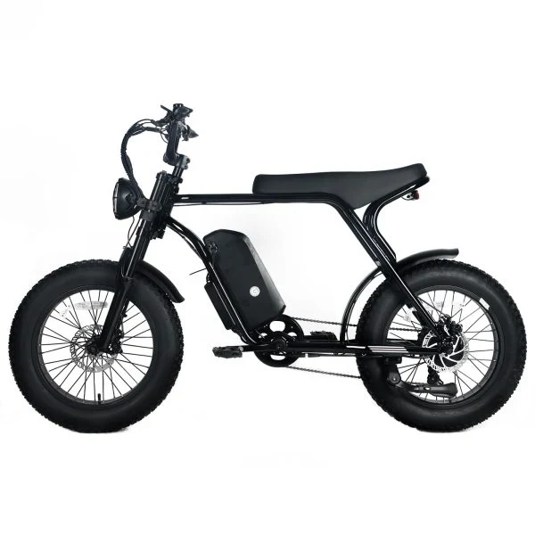 Electric Mountain Bike For Adults With 20 x 4.0 Fat Tires, 1000W Motor, 48V 20Ah Removable Battery, 45MPH Speed, 7-Speed - Image 4 Electric Mountain Bike For Adults With 20 x 4.0 Fat Tires, 1000W Motor, 48V 20Ah Removable Battery, 45MPH Speed, 7-Speed - Image 4