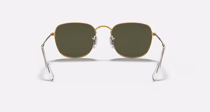 Ray-Ban FRANK