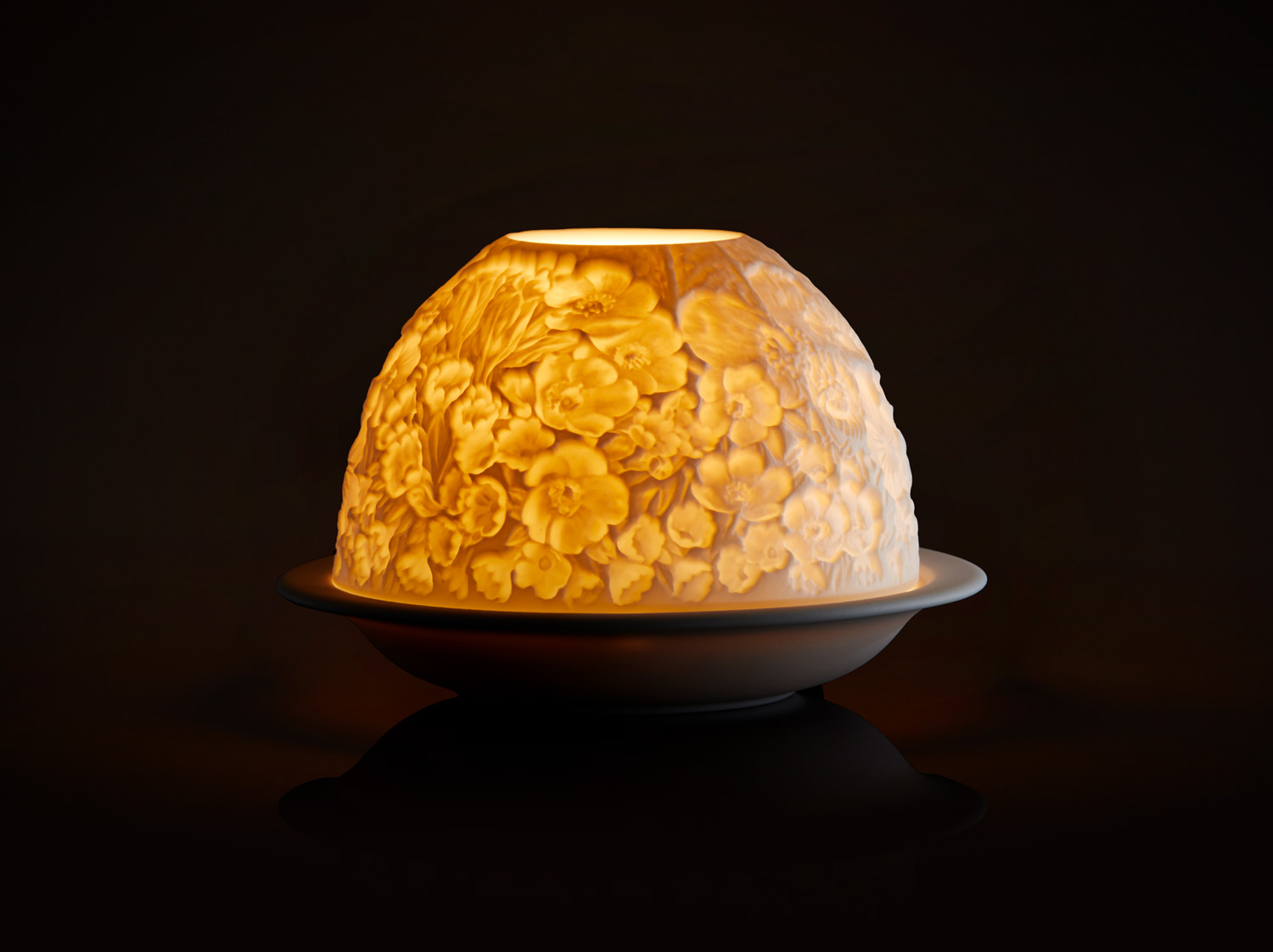 Fleurs de Printemps Led