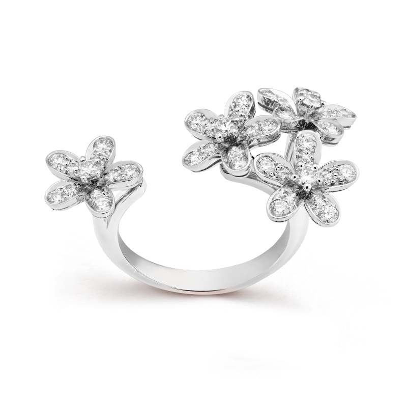 Replicate Socrate Between the Finger ring(1:1 replica) - Original Replica Club