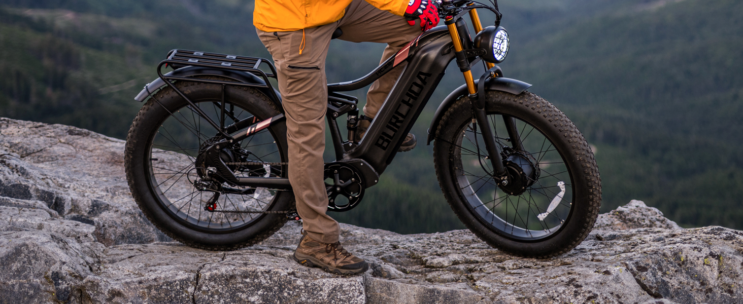 dual motor HC26 electric bike