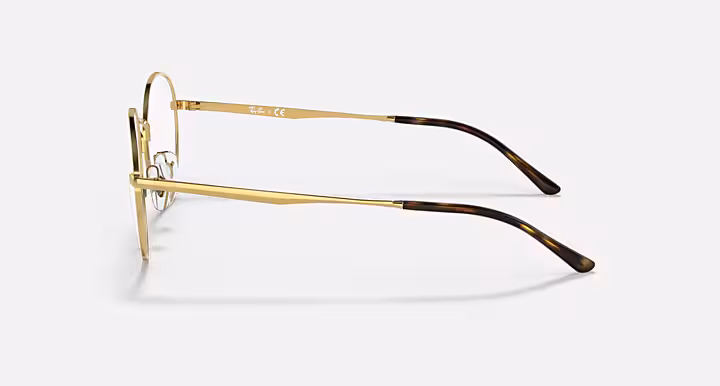 Ray-Ban RB3681 OPTICS