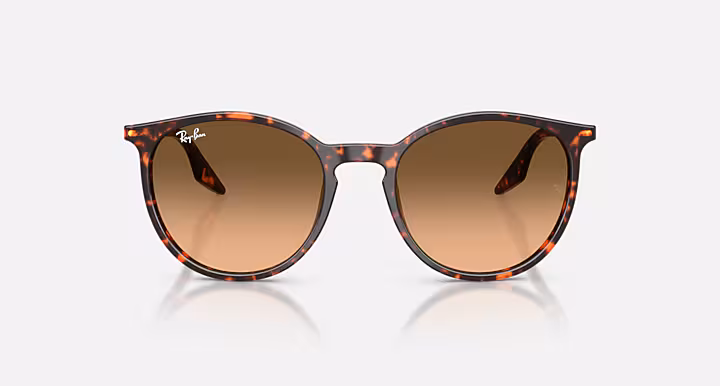 Ray-Ban RB2204