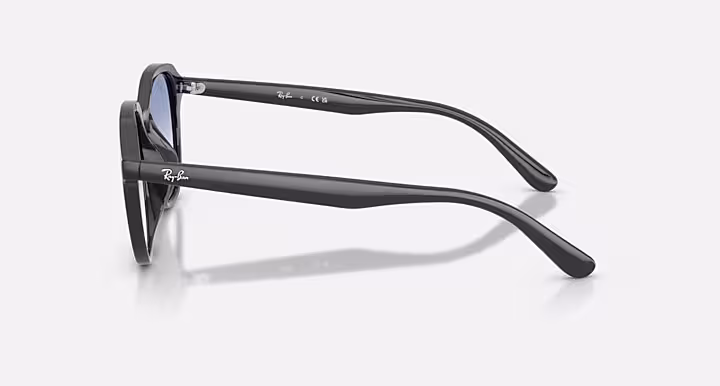 Ray-Ban RB4459D