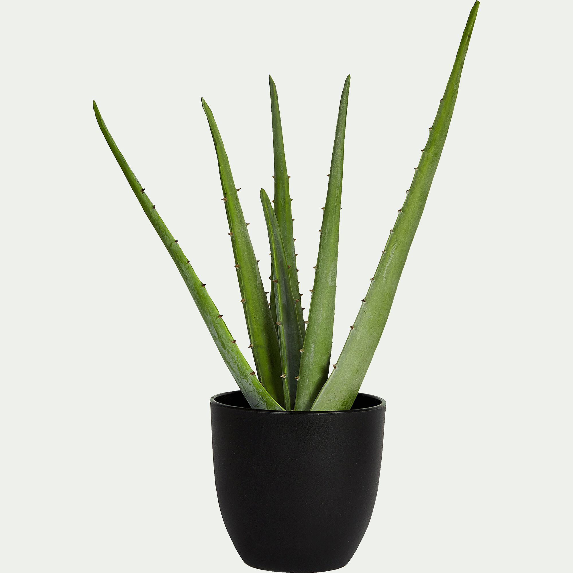 ALOE - Plante artificielle aloe - vert H52cm
