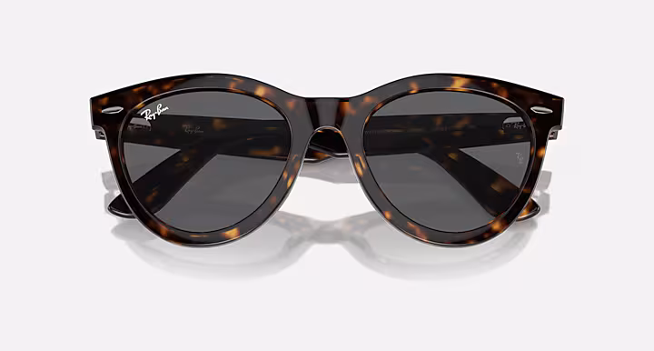 Ray-Ban WAYFARER WAY