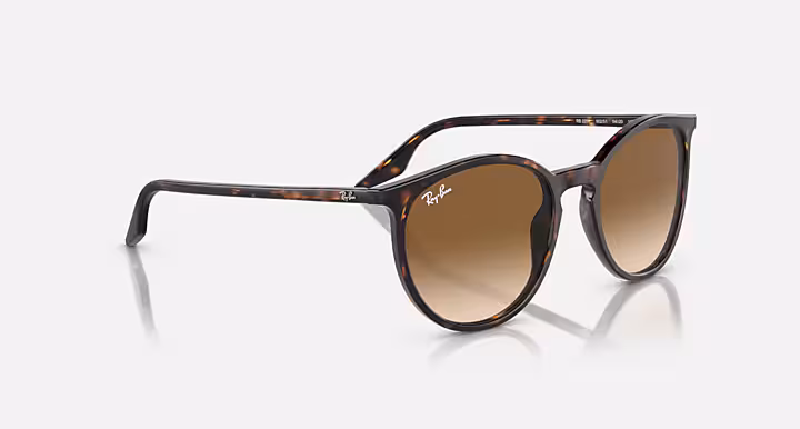 Ray-Ban RB2204