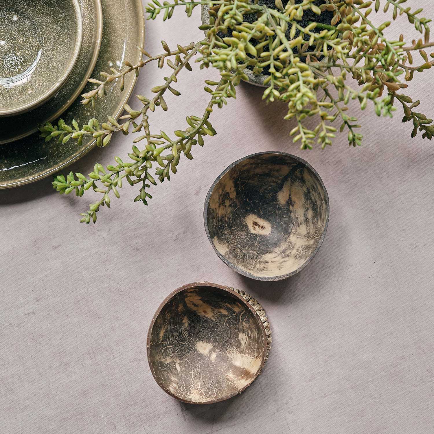 Havana Coconut Bowl, Set of 2