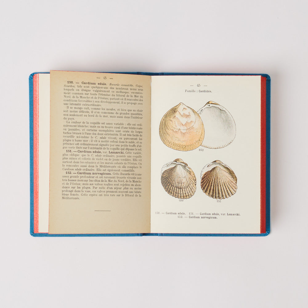 Livre Atlas - Coquilles des Côtes