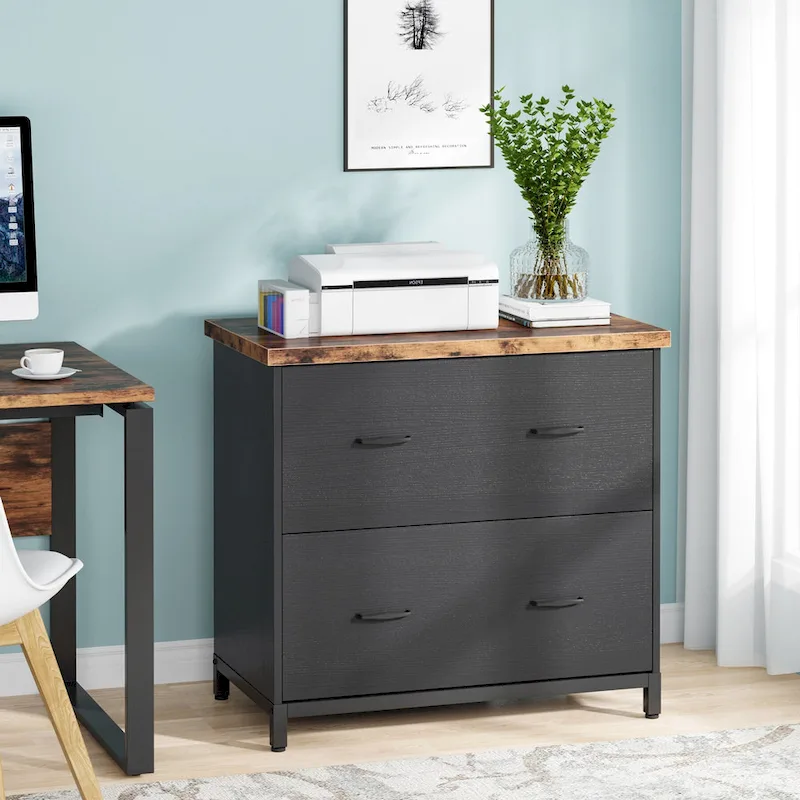 2-Drawer Lateral File Cabinet for Office Organization