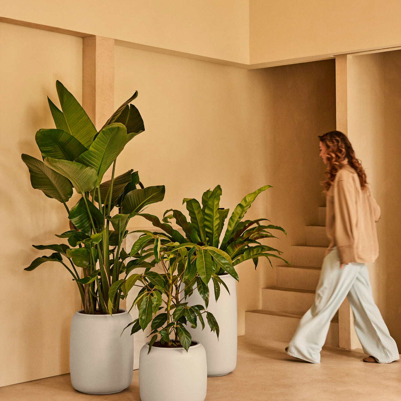 Elho Amber Beads Large 40 - Linnen wit - L 39 x B x H 66 cm - Binnen e