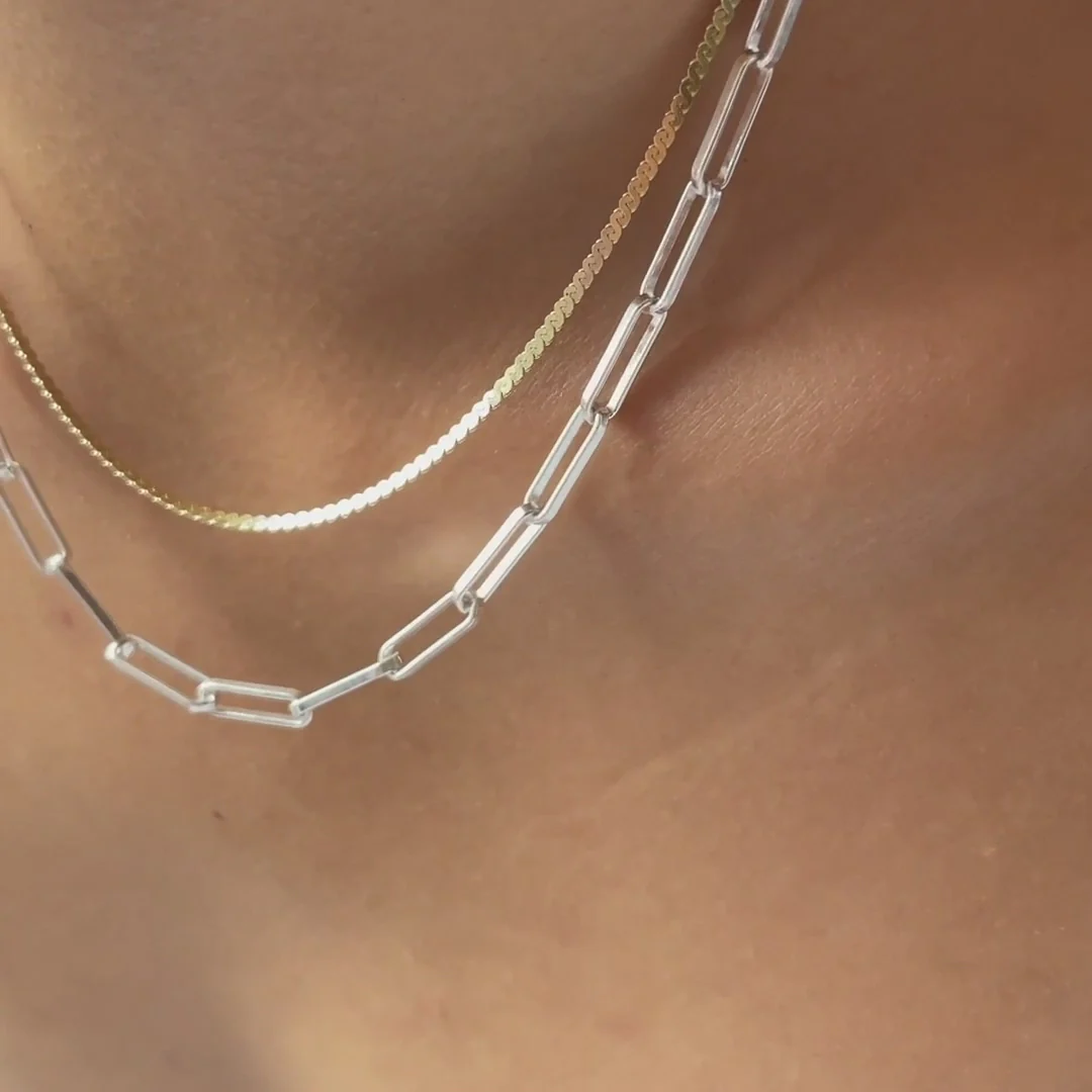 Icon Clip Chain Necklace