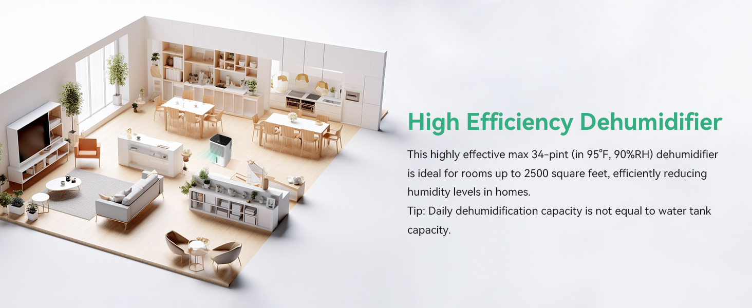 dehumidifier for basement