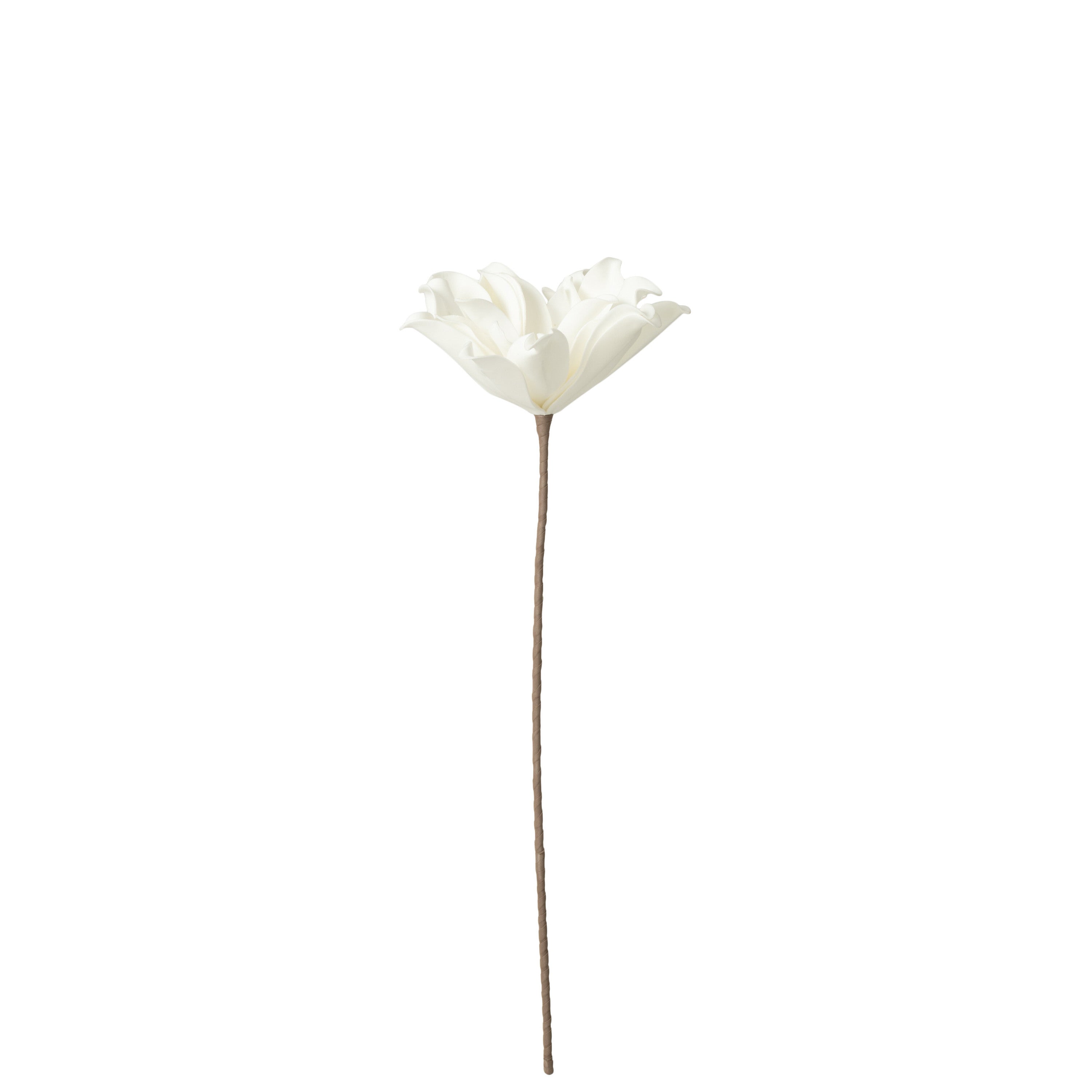 J-Line bloem Tak Korte Bladeren 1 Kop Eva - polyresin - wit