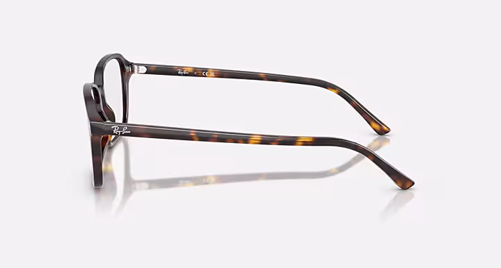 Ray-Ban RAIMOND OPTICS