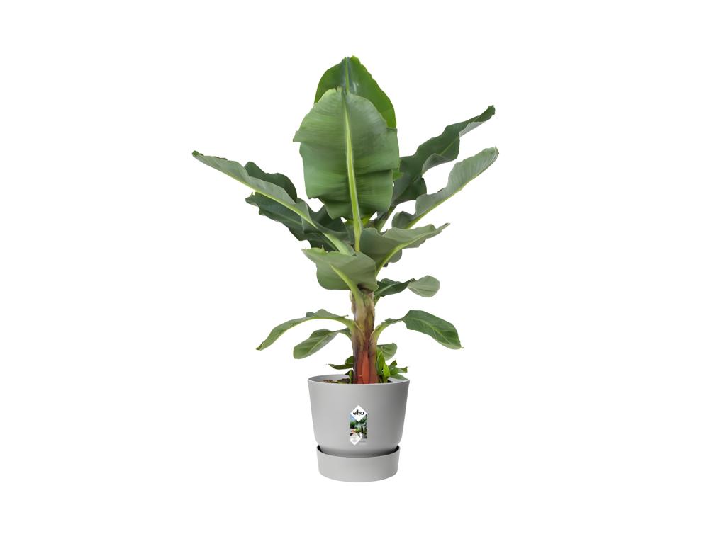 Pot de fleurs rond Greenville 30 - Extérieur - Ø 29,5 x H 27,8 cm - Gris béton vivant