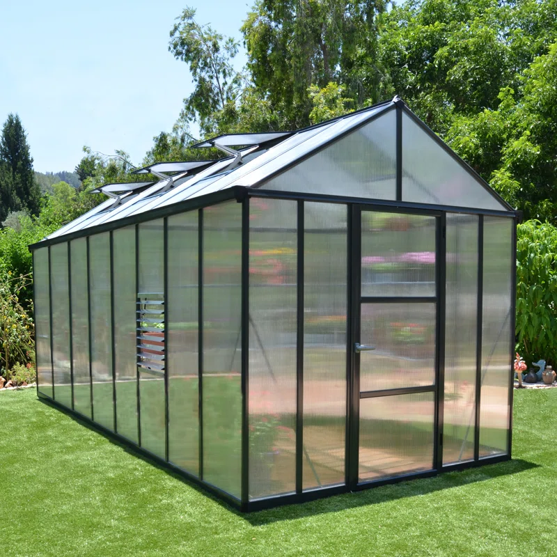 WAYFAIR Glory 2.4M W X 4.8M D Greenhouse
