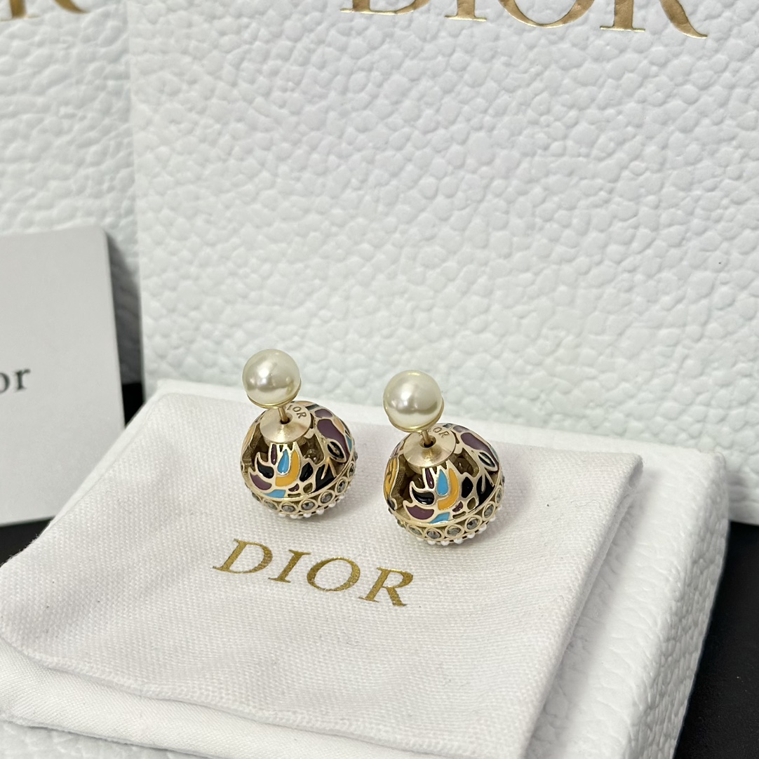Dior Enamel Earrings - Original Replica Club