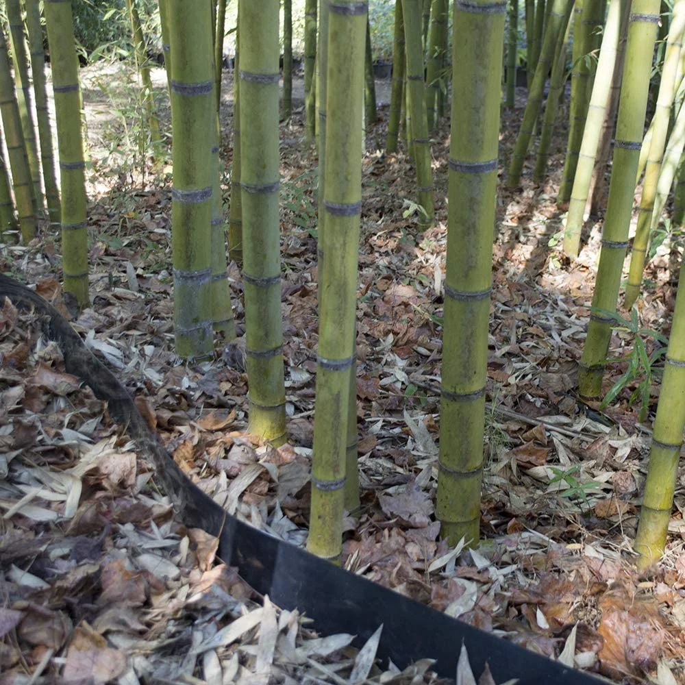40 feet Long x 24 inch x 60 mil - Bamboo Root Barrier/Water Barrier - image 6