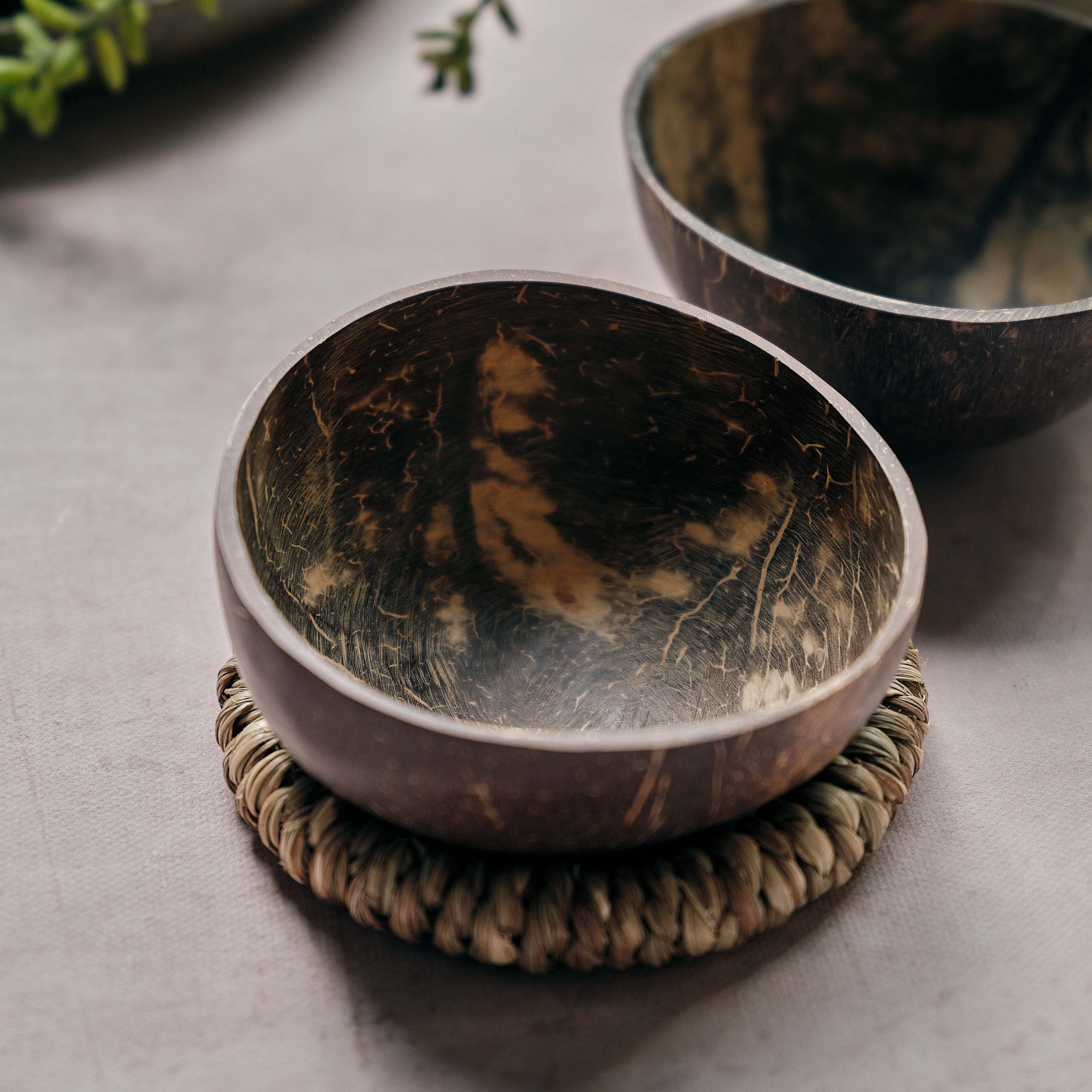 Havana Coconut Bowl, Set of 2