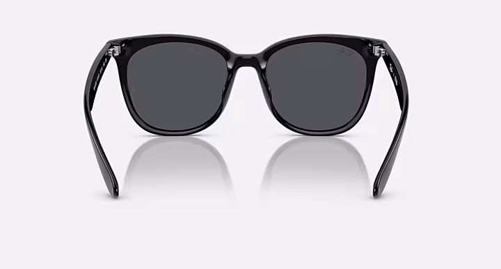 Ray-Ban RB4379D