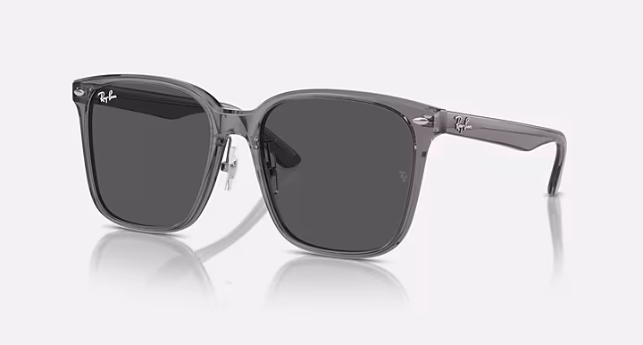 Ray-Ban RB2206D