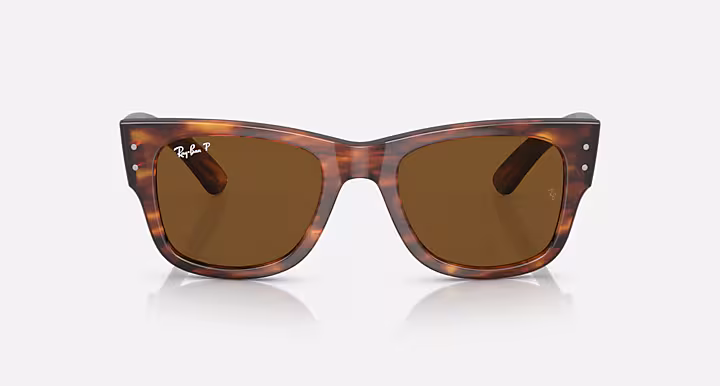Ray-Ban MEGA WAYFARER