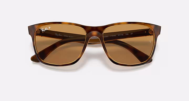 Ray-Ban RB4181